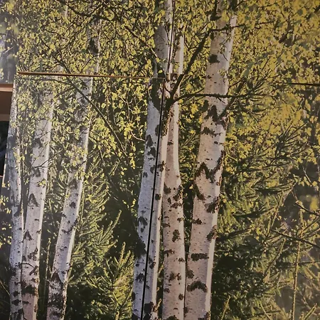 U Fergusona * Giżycko