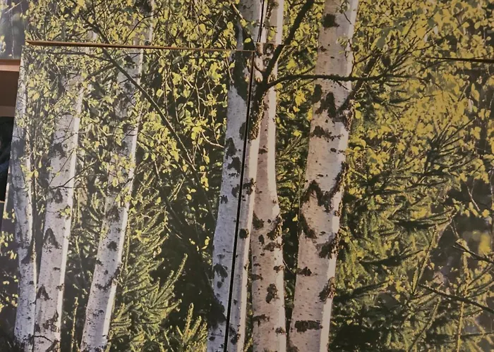 U Fergusona * Giżycko